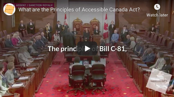 The Principles of the Accessible Canada Act?